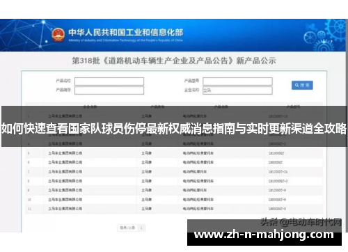如何快速查看国家队球员伤停最新权威消息指南与实时更新渠道全攻略